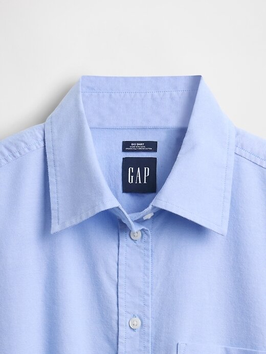 Camisa Oxford grande de algodón orgánico Camisa Oxford grande de algodón orgánico