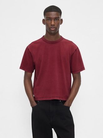 Camiseta corta de peso pesado para adultos