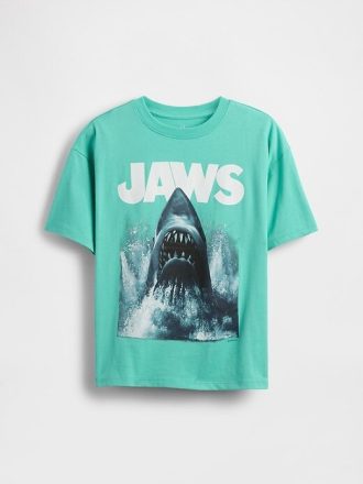Camiseta gráfica de algodón orgánico de peso pesado para niños