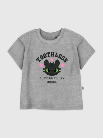 Camiseta gráfica para niños pequeños de Cómo entrenar a tu dragón: Desdentado y luchador