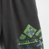 Pantalones cortos deportivos fáciles de usar con gráficos para niños de 5″ Pantalones cortos deportivos fáciles de usar con gráficos para niños de 5″