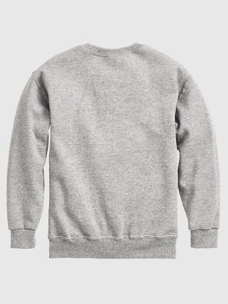 Sudadera polar con cuello redondo y diseño de momia de T-Rex para niños pequeños
